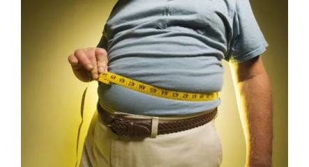 鍾耀華醫師（內科）中醫看單純性肥胖(一)